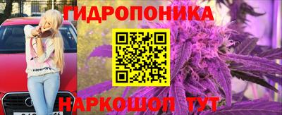дурь Гусиноозёрск